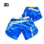 Dryfit Mesh Fabric MMA Shorts