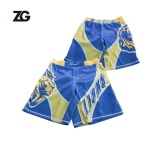 Lion Design MMA Shorts